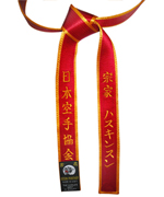 Deluxe Satin Red Belt with Gold Border